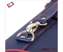 Cuetec 2x4 Navy Pro Line Pool Cue Case -Billiards Sale Store 23 ct pro line 2x4 navy 95 754 hardware