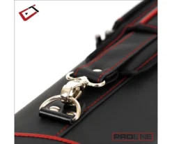 Cuetec 2x4 Pro Line Pool Cue Case -Billiards Sale Store ctcp24 05